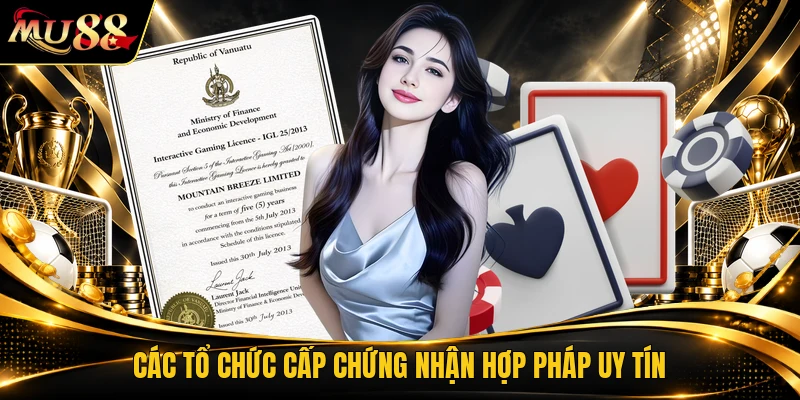 Các tổ chức cấp chứng nhận hợp pháp uy tín
