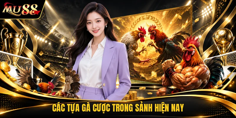 Các tựa gà cược trong sảnh hiện nay