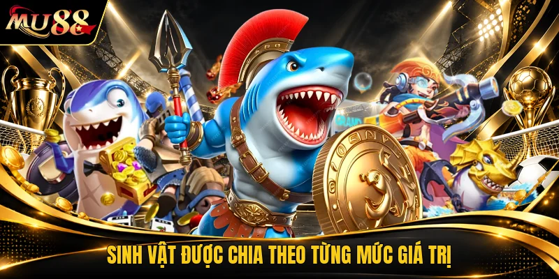 Sinh vật được chia theo từng mức giá trị